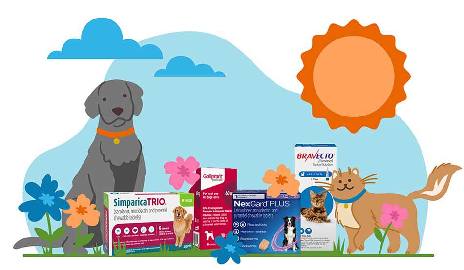 Illustration of a dog and cat on a sunny day in a field of flowers surrounded by pet medications