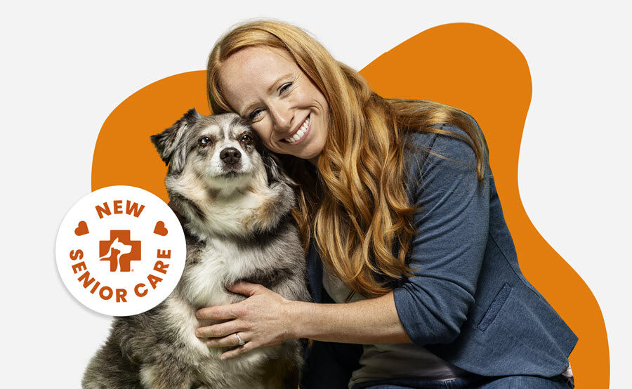 image of a woman next to an older dog