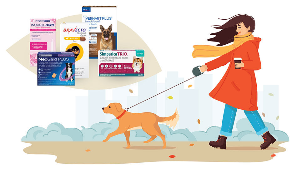 woman dressed for fall walking a dog with the wind blowing and pet medications above them
