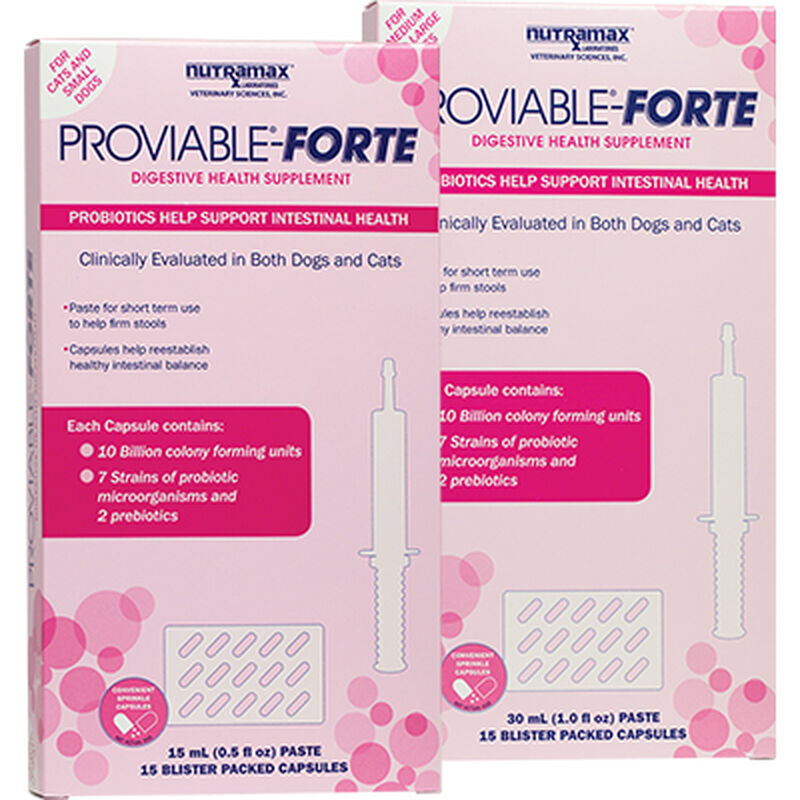 Proviable®-Forte Kit for Cats & Dogs image number NaN