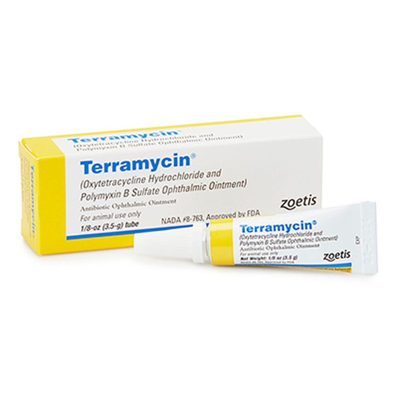 Terramycin Ophthalmic Ointment image number NaN