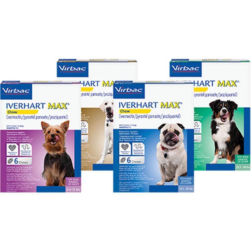 Iverhart Max&reg; Chew image number NaN