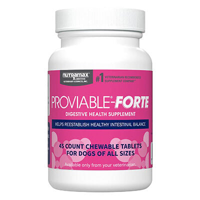 Proviable&reg;-Forte Chewable Tablets for Dogs