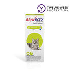 Bravecto&reg; Topical for Cats