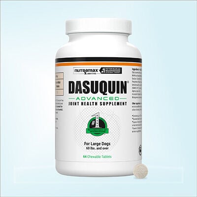Dasuquin&reg; Advanced Chewable Tablets for Dogs