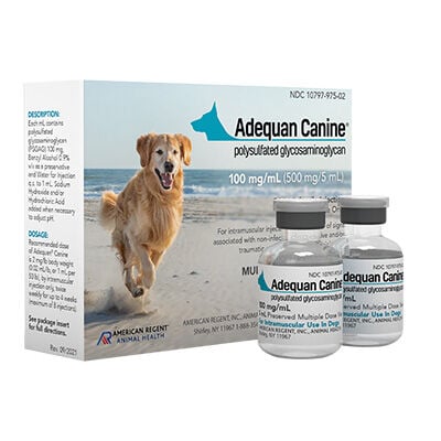 Adequan&reg; CANINE Injectable 100 mg/ml